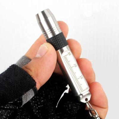 China Convenient Mini Torch Stainless Steel Pocket Key Chain LED Flashlight With Ruler for sale