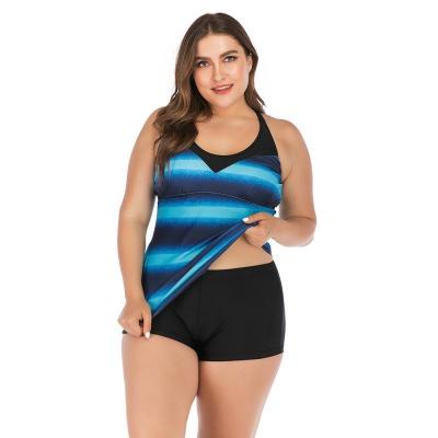 China Plus Size Plus Size Swimwear For Women Color Block Striped Tankini Swimsuits With Boy Shorts Swimwear XL-XXXXXL for sale