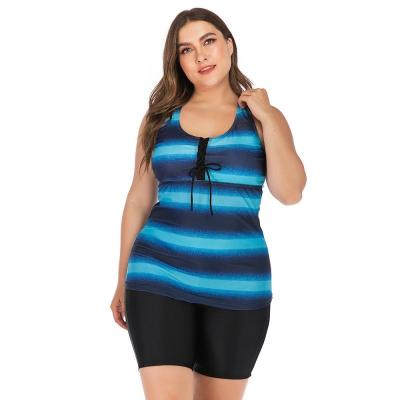 China Plus Size Plus Size Swimwear For Women Color Block Striped Tankini Swimsuits With Boy Shorts Swimwear XL-XXXXXL for sale