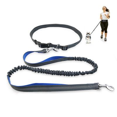 China Multi Function Thoughtful Running Retractable Professional Collar Harness Adjustable Rope Walking Belt Hands Free Dog Leash for sale