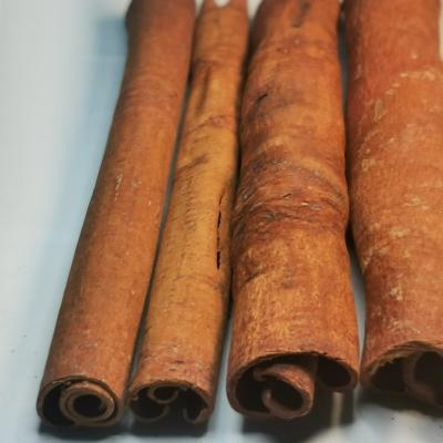 China Export Dried Herbs And Spices Single Dried Cinnamon Stick Factory Price for sale