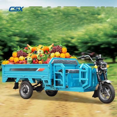 China China Max Body Customized Motor Power Cheap Price Electric Battery Trike Adults 3 Wheel Cargo Flat Tricycle for sale