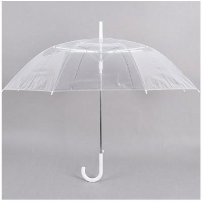 China Minimalist Made in China POE Eight-bone Mini Umbrella Household Transparent Umbrella for sale