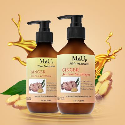 China Organic Ginger Hair Growth Natural Herbal Dandruff Ginger Shampoo And Conditioner Anti Loss Prevention Private Label Hair Loss for sale