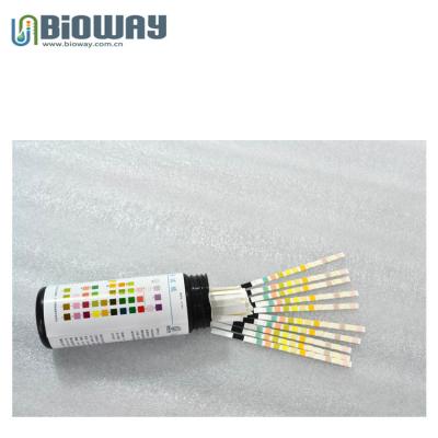 China Visual inspection 10 parameters urine test strips urine ketone test strip for sale