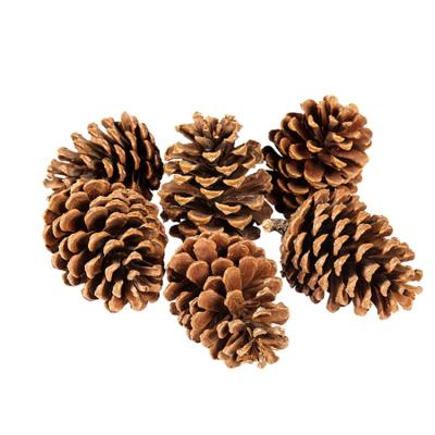 China Eco-friendly Hot Sale Product Hanging Christmas Tree Decorations Wooden Pendant Pine Cones for sale