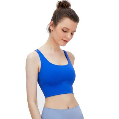 China Hot Sexy Seamless Breathable Sports Bra Sports Bra For Busty Running Or Jogging Underwear Girl Bra for sale