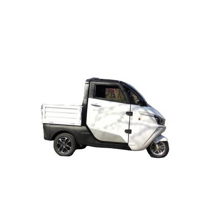 China Smart Enclosed Electric Cargo 3 Wheels Tricycle Motorcycle for sale