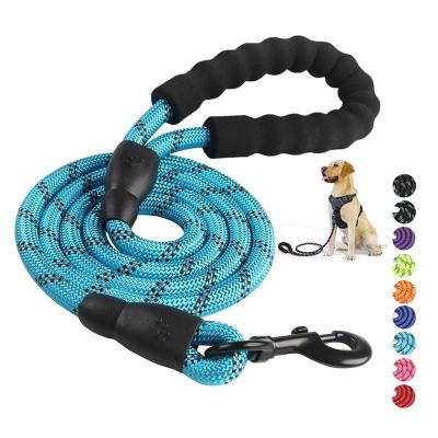 China Padded Reflective Dog Leashes Gently Handle Nylon Dog Leash Rope Leather Color Custom Logo for sale