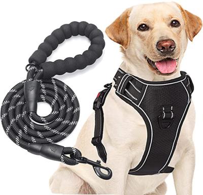 China Adjustable Thoughtful Easy Control Quick Release Pull Dog Harness Leashes Pet Medium Large Dog for sale