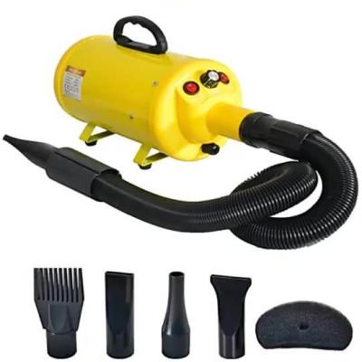 China Stored High Power Silent Blowing Pet Hair Dryer Dog Blower Supplies Grooming Equipment Dog Grooming Tools for sale