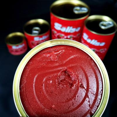 China Pure Natural Tomato PasteTomato OEM Brand Tomato Sauce Canned Food Cooking 70g 210g 400g Tin For Halal African Muslim for sale