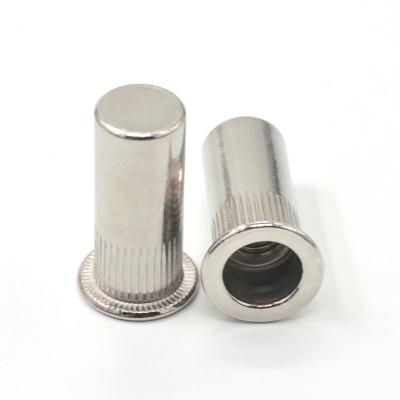 China High Quality Stainless Steel Head Stainless Steel Rivet Flat Capped Nuts for sale