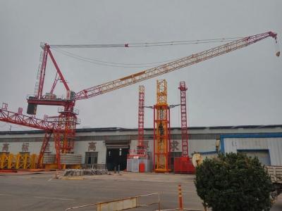 China 16tons 60m jib luffing tower crane for sale 6tons/8tons inner climbing type zu verkaufen