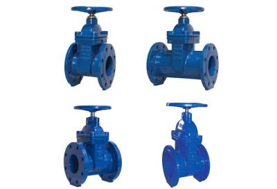 China Pn10 Pn16 Ggg50 Hand Wheel Din Water Seal Gate Valve for sale