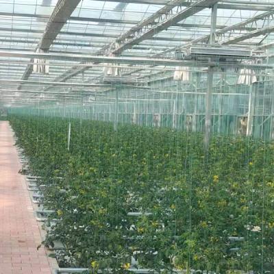 China Multi-Span Greenhouse Agricultural Commercial Greenhouse Polycarbonate Greenhouse For Sale for sale