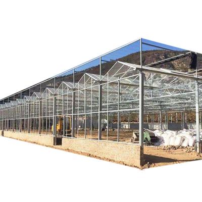 China Agricultural Greenhouse Customized Multispan Pc Polycarbonate Greenhouse For Tomato Growing for sale