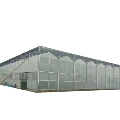 China Commercial greenhouse polycarbonate greenhouse used ecological restaurant for sale