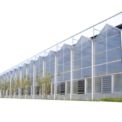 China Agricultural Tomato Greenhouse With Hydroponic System Polycarbonate Greenhouse For Sale for sale