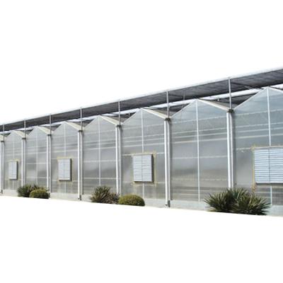 China Commercial Multi-Span Greenhouse Pc Sheet Polycarbonate Greenhouse With Hydroponic System for sale