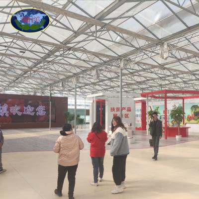 China Agricultural Multi-span Polycarbonate Greenhouse Strawberry Greenhouse For Sale for sale