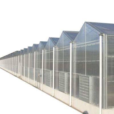 China Factory Price Agriculture Greenhouse Multi-Span PC Sheet Polycarbonate Greenhouse Turnkey Project for sale