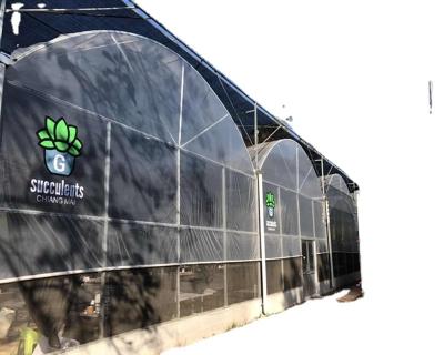 China Single span and multi-span agricultural greenhouse by plastic film greenhouse for tomato greenhouse for sale