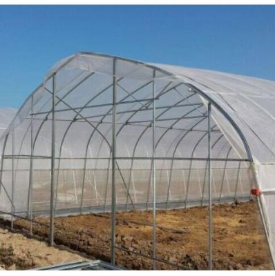 China Single-Span Agricultural Commercial Greenhouses Tunnel Greenhouse Plastic Film Greenhouse for sale