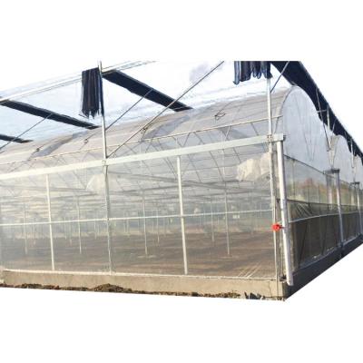 China Large Size Turnkey Projects Plastic Film Greenhouse Tunnel Agricultural Greenhouse for Tomato for sale