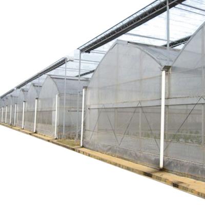 China Cheap Multi-Span Tunnel Plastic Film Greenhouse Uesd Hydroponic Greenhouse Grow System for sale