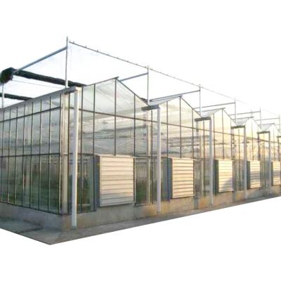 China Agriculture Multi-Span Glass Greenhouse Hydroponic Greenhouse for sale