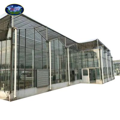 China Cheap Intelligent Agriculture Multi-Span Glass Greenhouse Hydroponic Greenhouse for sale