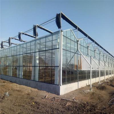 China large size greenhouse Multi-span Commercial Glass Greenhouse orchid hydroponic greenhouse for sale for sale