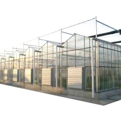 China Large Glass Greenhouse Agricultural Green House Greenhouse For Sale for sale