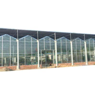 China Glass Greenhouse Used Agricultural/Commercial Greenhouse With Hydroponic Grow System Greenhouse for sale