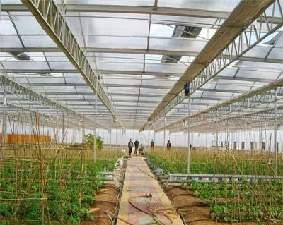 China Steel frame structure venlo polycarbonate sheet greenhouse with low price for sale for sale