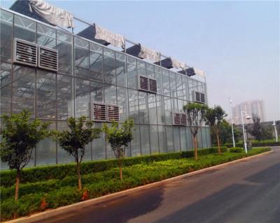 China professional complete polycarbonate greenhouse with hydroponic system greenhouse supplier for sale