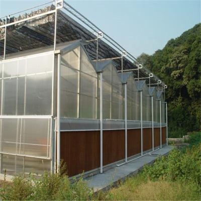 China greenhouse polycarbonate agricultural large size hydroponics system film greenhouse for sale