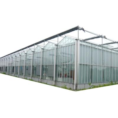 China Low cost high quality greenhouse polycarbonate sheet greenhouse multi-span green house for tomatoes for sale