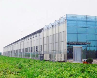 China film cover arch greenhouse and glass cover greenhouse NFT hydroponic systems for tomato greenhouse for sale