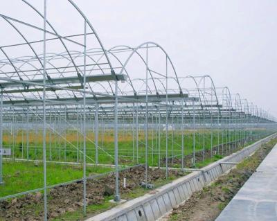 China Soilless cultivation hydroponic system used to farm greenhouse irrigation systems for sale