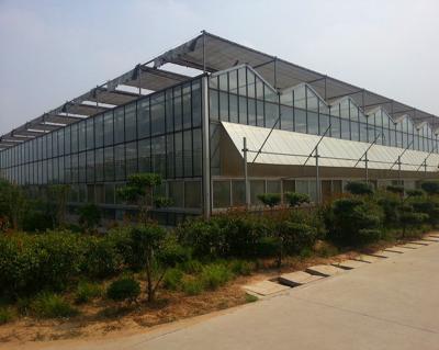 China polycarbonate roof glass greenhouse soilless cultivation with hydroponic irrigation system for sale for sale