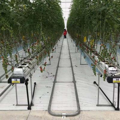 China Hot sale commercial hydroponic system for tomato green house greenhouse for sale