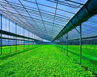 China Mini Glassgarden Greenhouse For Sale Garden Green House Vegetable Fruits Flowers for sale