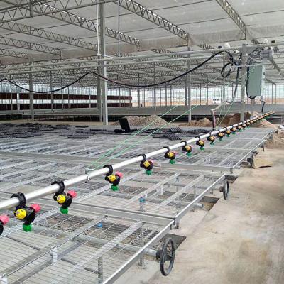 China Seedling greenhouse wire mesh rolling bench for sale----Mobile seedbed for sale for sale