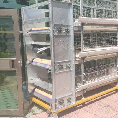 China Broiler Chicken Coop For Sale Automatic Equipment Ventilation Exhaust Fan for sale