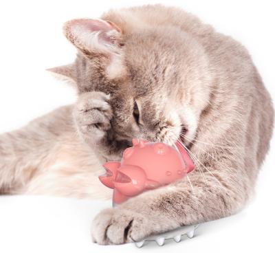 China New Viable Pet Toy Innovative Teeth Grinding Cat Chewing Toothbrush Toys for sale