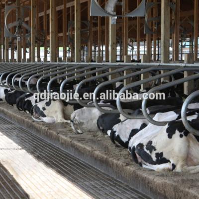 China 2018 Durable Galvanized Cow Stall Free Buckles For Sale! for sale