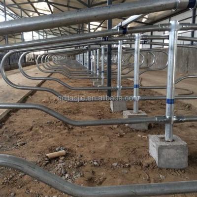 China Easy Install Livestock Freestall Galvanized Cow Farm Stalls Livestock Equipment for sale