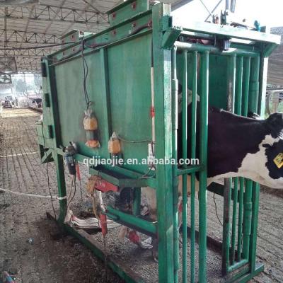 China Mobile Livestock Equipment Cow Cattle Hoof Repairing Machine for sale